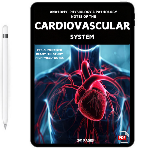 Cardiovascular Notes