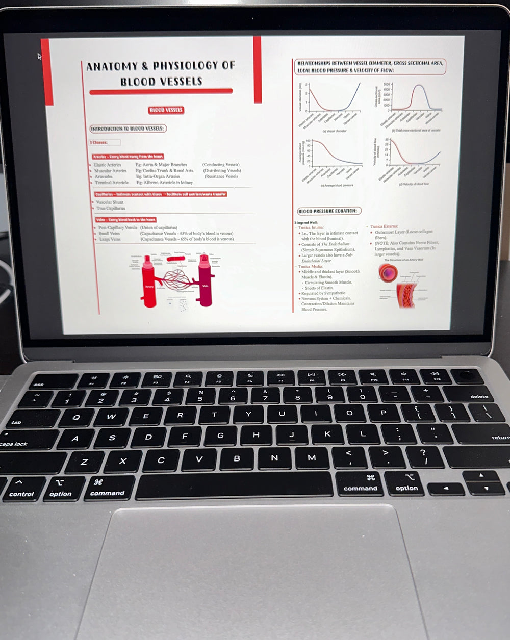 <p>50,000+ Satisfied Students. Here’s Why:</p>