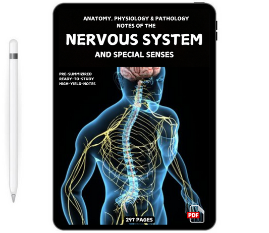 The Nervous System