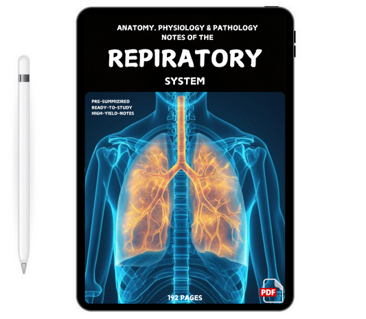 The Respiratory System