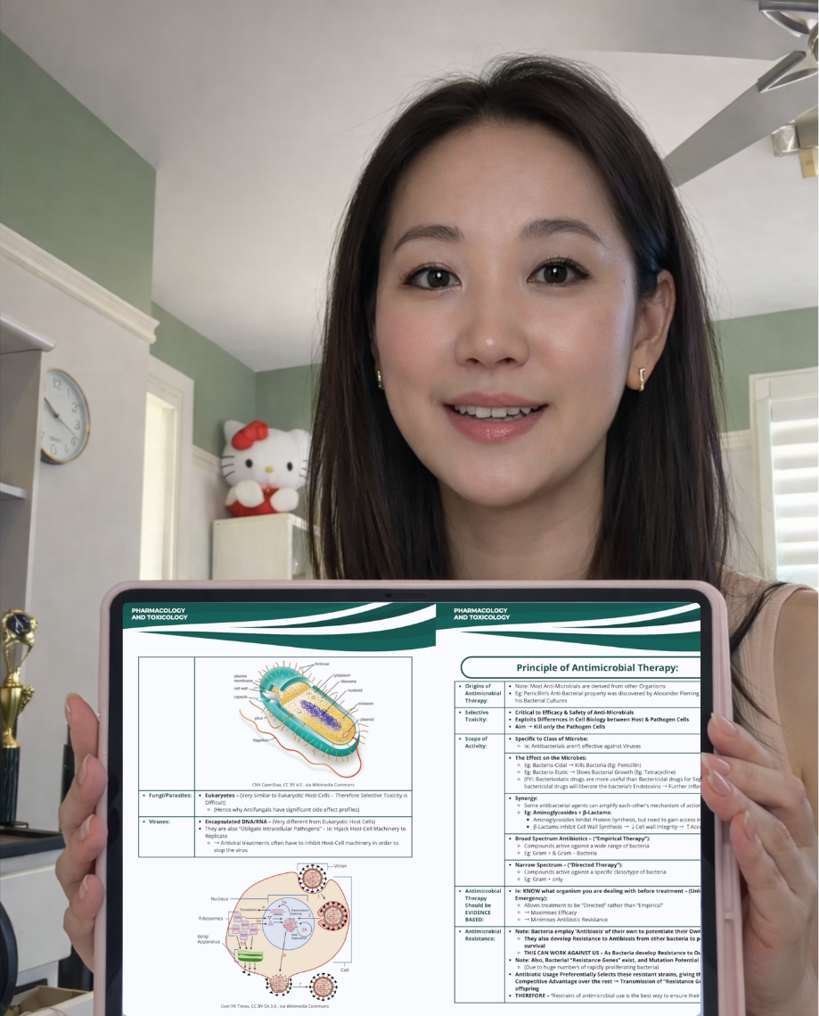 <p>50,000+ Satisfied Students. Here’s Why:</p>